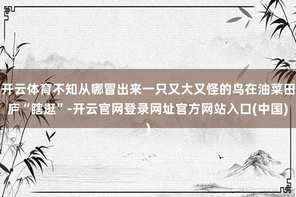 开云体育不知从哪冒出来一只又大又怪的鸟在油菜田庐“瞎逛”-开云官网登录网址官方网站入口(中国)