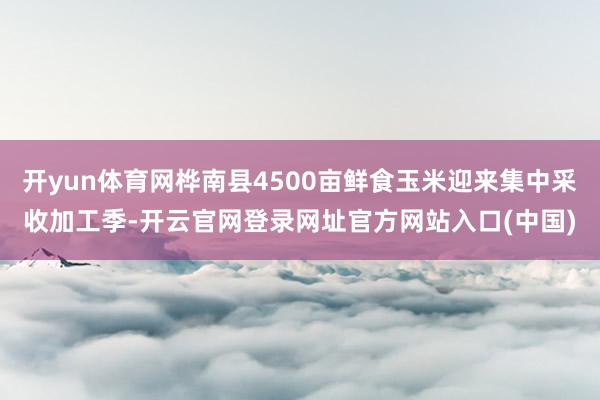 开yun体育网桦南县4500亩鲜食玉米迎来集中采收加工季-开云官网登录网址官方网站入口(中国)